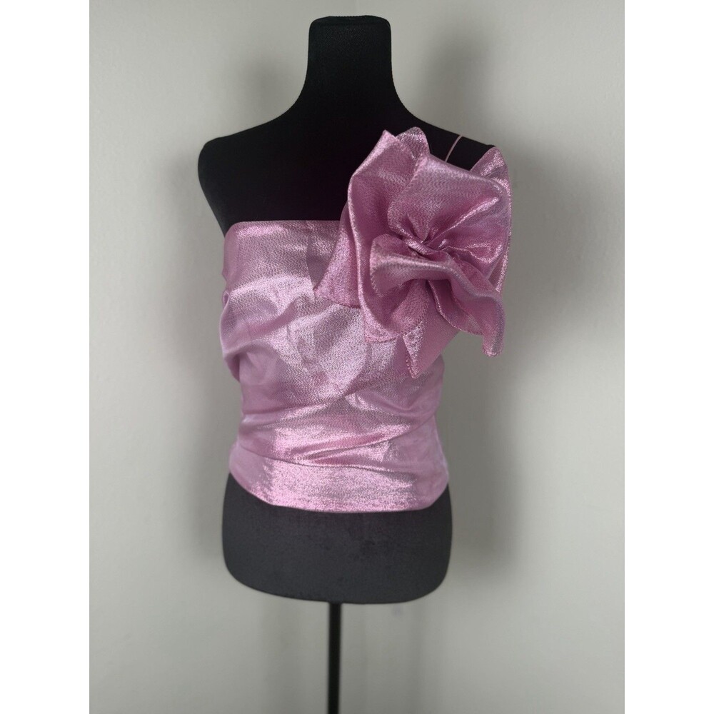 Hutch Tessa Top NWT Size Small Pink Metallic One Shoulder Rosette Statement Top